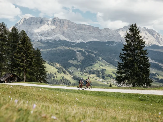 Zwei Radfahrer auf einem Weg in den Bergen mit grünen Wiesen und Tannen