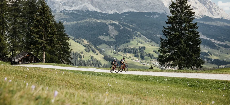 Alta Badia © Alex Moling Two cyclists on a path in the mountains with green meadows and pine trees