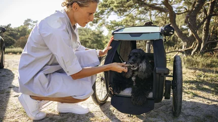 Mit dem Thule Bexey beginnt jedes Abenteuer zu zweit © Thule Eine Frau gibt einem Hund in einem Fahrradanhänger ein Leckerli