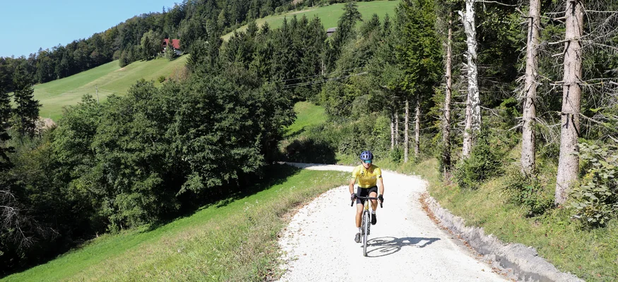 Fahrradfahrer auf Waldweg in hügeliger Landschaft bei Sonnenschein