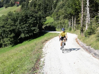 Savinja Valley © Kaja Ribezl Cyclist riding on a forest path in hilly countryside on a sunny day