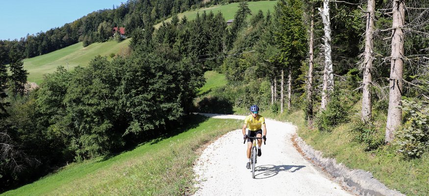 Gravelbiken im Savinja-Tal © Kaja Ribezl Fahrradfahrer auf Waldweg in hügeliger Landschaft bei Sonnenschein