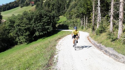 Cyclist riding on a forest path in hilly countryside on a sunny day