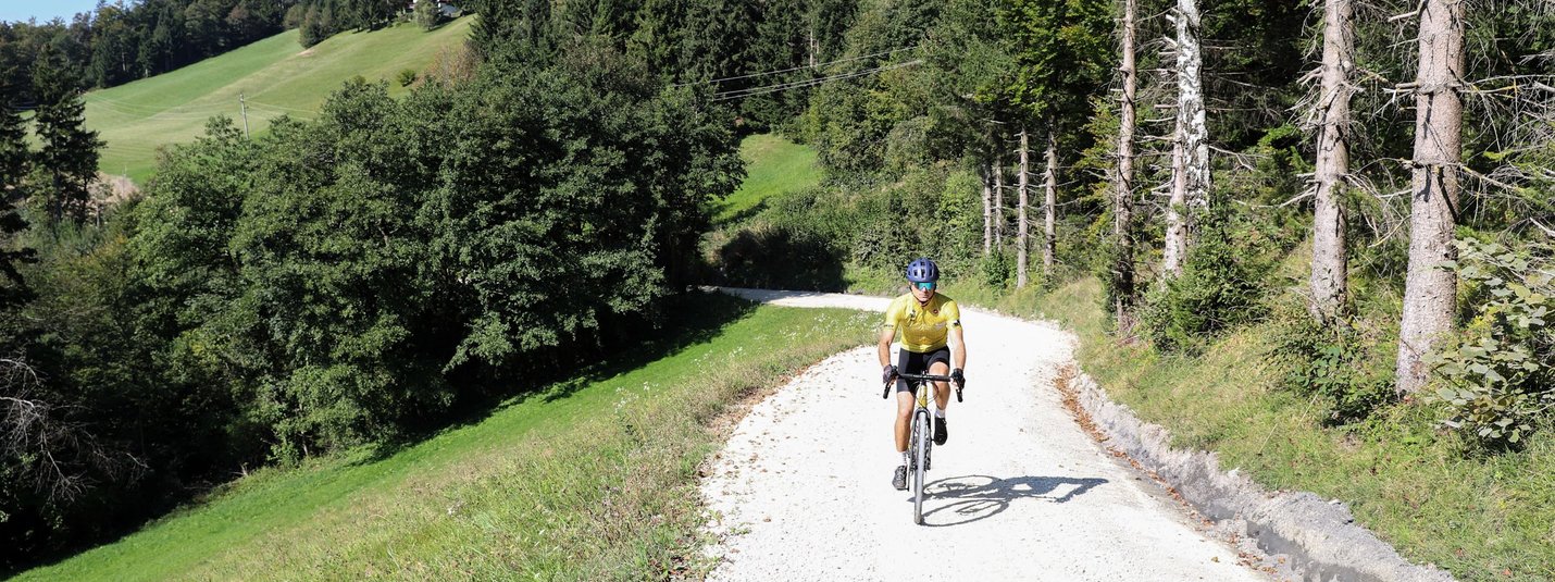 Čemšenik and Vrhe © Kaja Ribezl Cyclist riding on a forest path in hilly countryside on a sunny day