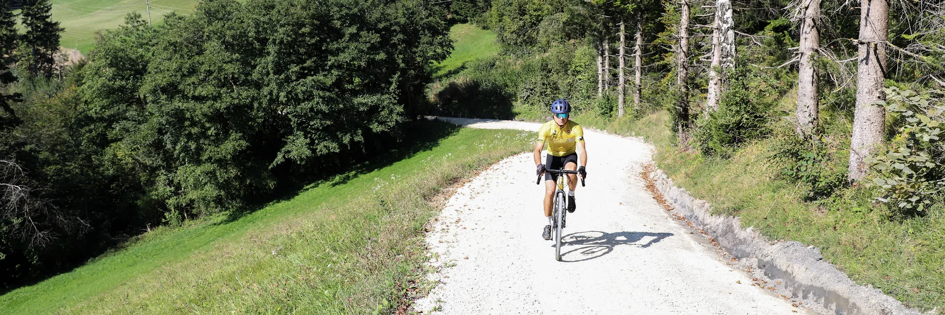 Fahrradfahrer auf Waldweg in hügeliger Landschaft bei Sonnenschein