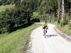 Cyclist riding on a forest path in hilly countryside on a sunny day
