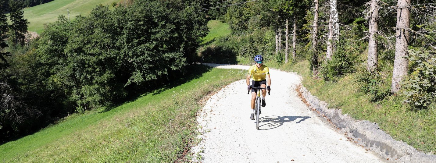 Gravelbike Urlaub im Savinja Tal © Kaja Ribezl Fahrradfahrer auf Waldweg in hügeliger Landschaft bei Sonnenschein