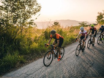 Vier Radfahrer fahren auf einer Straße neben grüner Vegetation am Abend