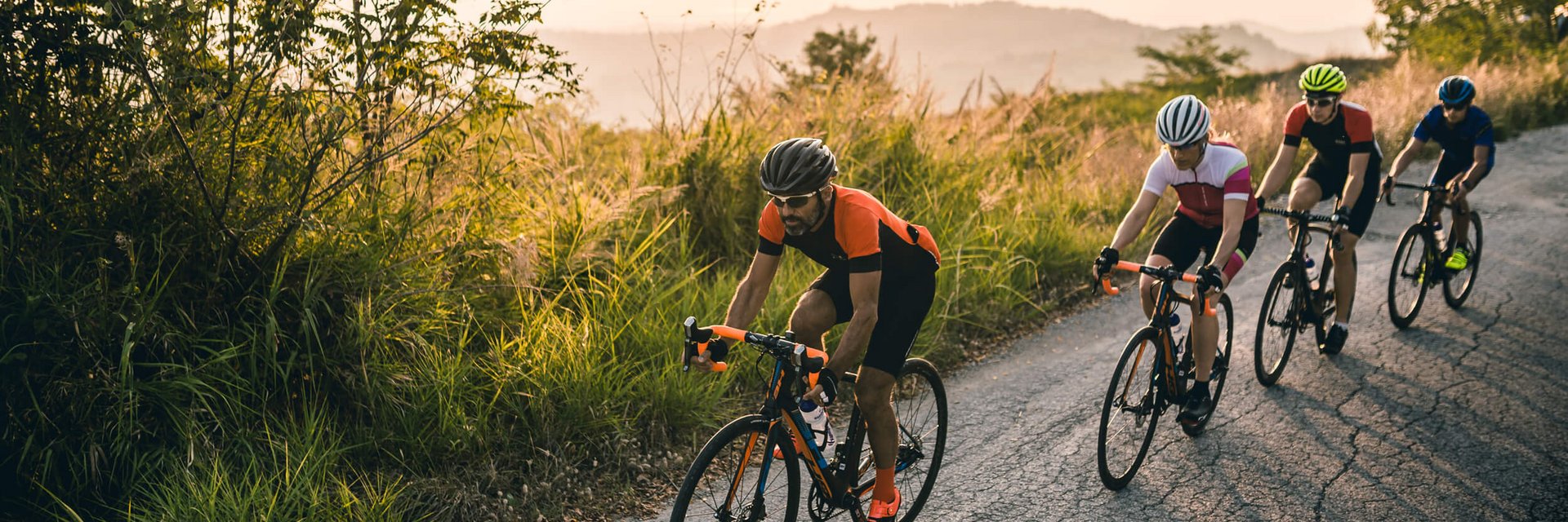 Four cyclists riding on a road beside greenery at sunset