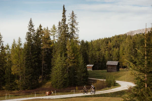 Alpine Gravel Experience © Alex Moling Two cyclists on a forest path near a cow and wooden huts