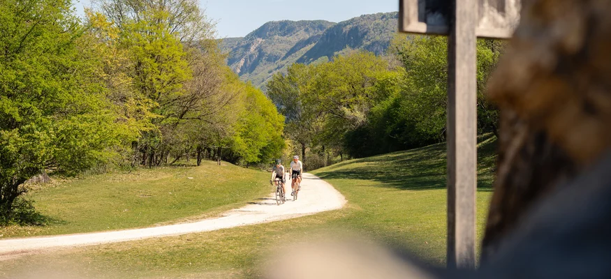Hotel Teutschhaus ***S © Cinemepic / Teutschhaus Zwei Radfahrer auf einem Weg durch grünen Wald mit Bergen im Hintergrund