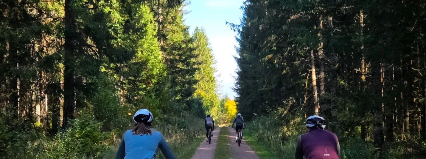 Gravelling in the Wutach Gorge © David Lemanski People cycling on a forest trail
