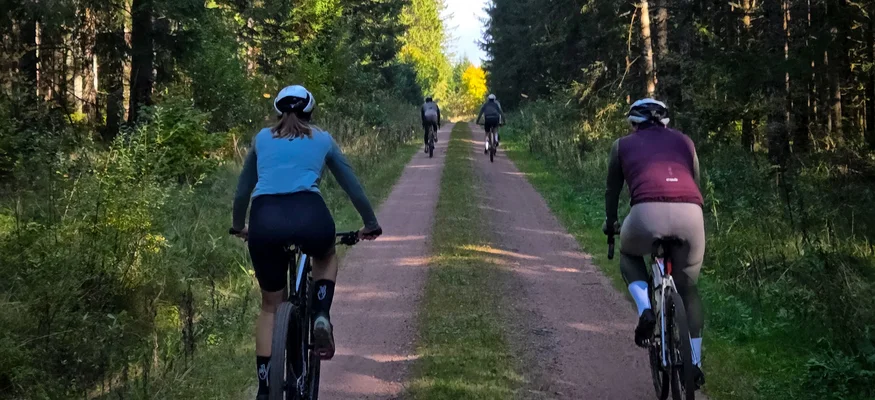 Menschen fahren mit Fahrrädern auf einem Waldweg