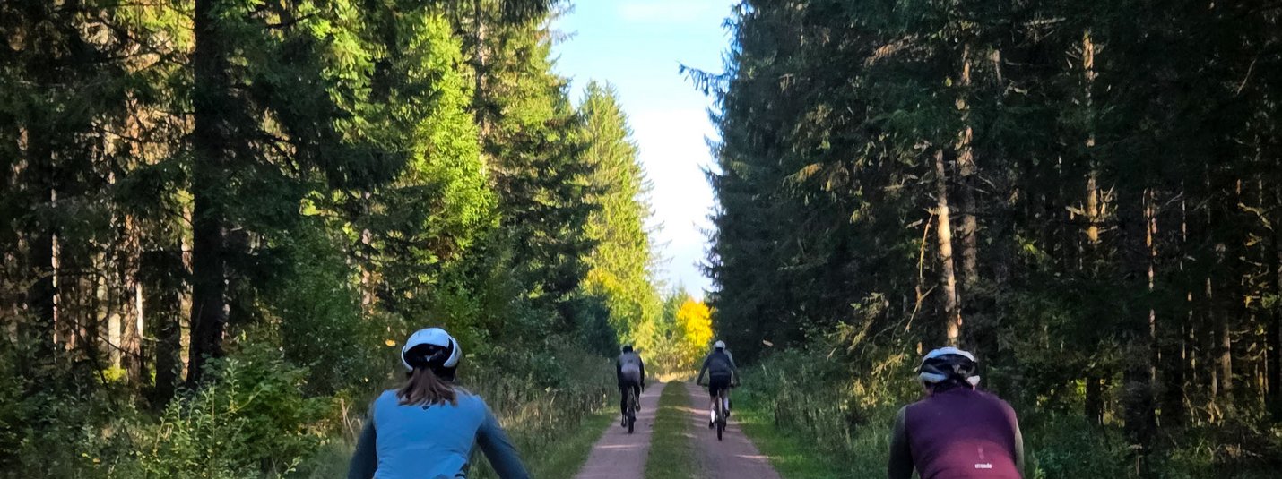 Menschen fahren mit Fahrrädern auf einem Waldweg