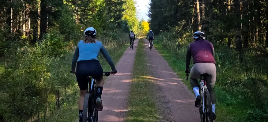 Menschen fahren mit Fahrrädern auf einem Waldweg