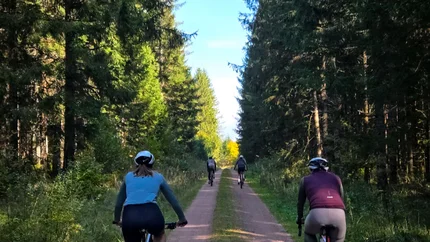 People cycling on a forest trail