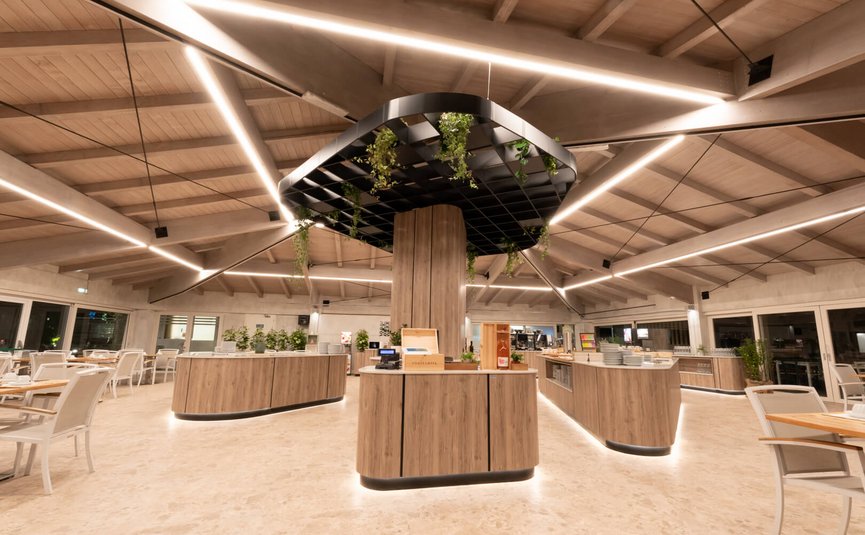 Modern, brightly lit restaurant interior with wood accents and plants