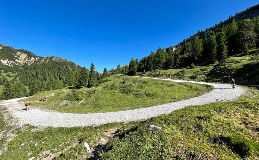 Fahrradfahrer auf Bergweg mit grünem Gras und Bäumen bei klarem Himmel
