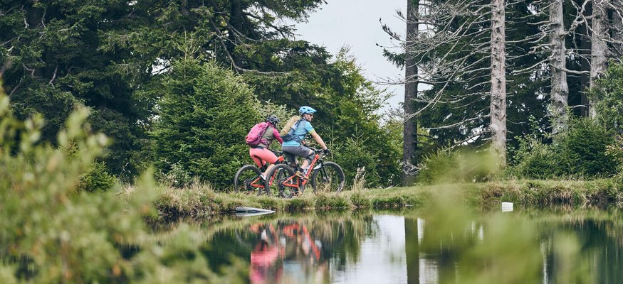 Zwei Fahrradfahrer fahren am Waldrand an einem See entlang