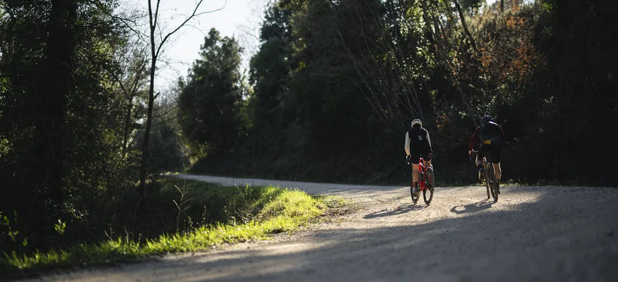 Toskana © Tenuta il Cicalino Zwei Radfahrer fahren auf einem Waldweg im Sonnenschein