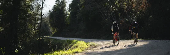Gravelbike Urlaub in der Toskana © Tenuta il Cicalino Zwei Radfahrer fahren auf einem Waldweg im Sonnenschein
