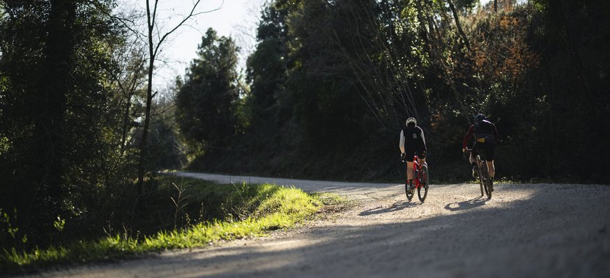 Two cyclists riding on a sunlit forest path