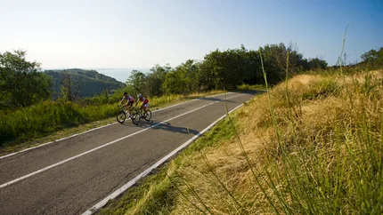 Two cyclists riding on a road through green landscape on a sunny day