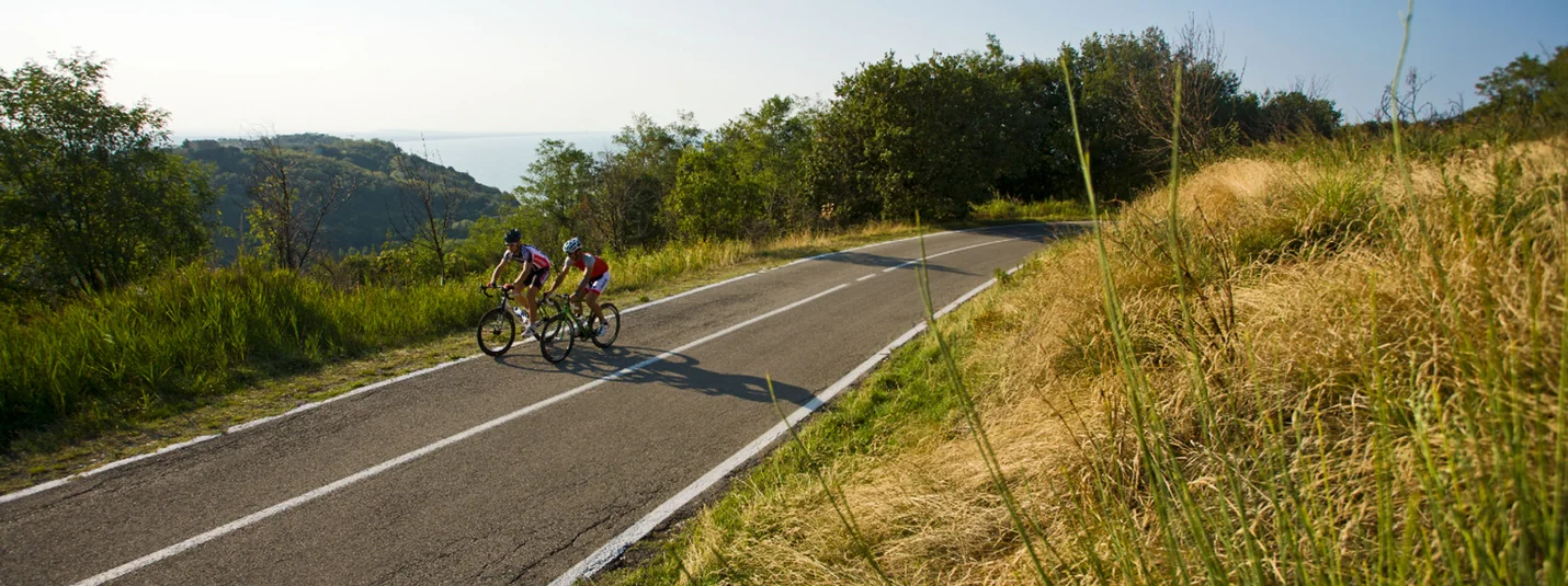 Zwei Radfahrer fahren auf einer Straße durch eine grüne Landschaft bei sonnigem Wetter