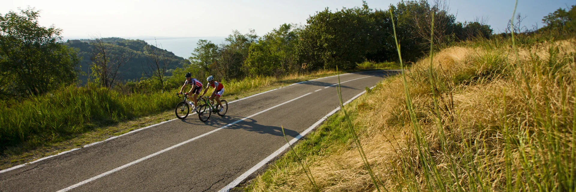 Two cyclists riding on a road through green landscape on a sunny day