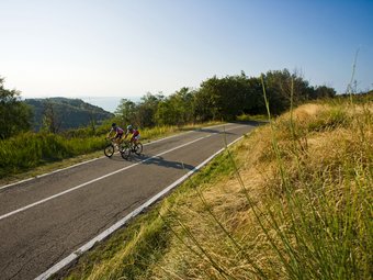 Zwei Radfahrer fahren auf einer Straße durch eine grüne Landschaft bei sonnigem Wetter