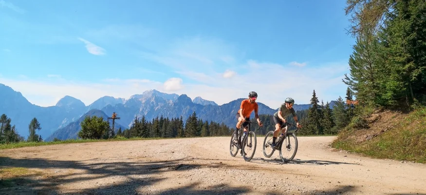 Zwei Radfahrer auf einem Waldweg vor Bergkulisse bei klarem Himmel