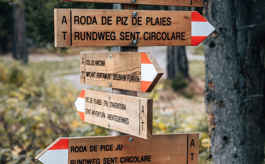 Mehrere hölzerne Wanderwegweiser im Wald mit Richtungen und Markierungen