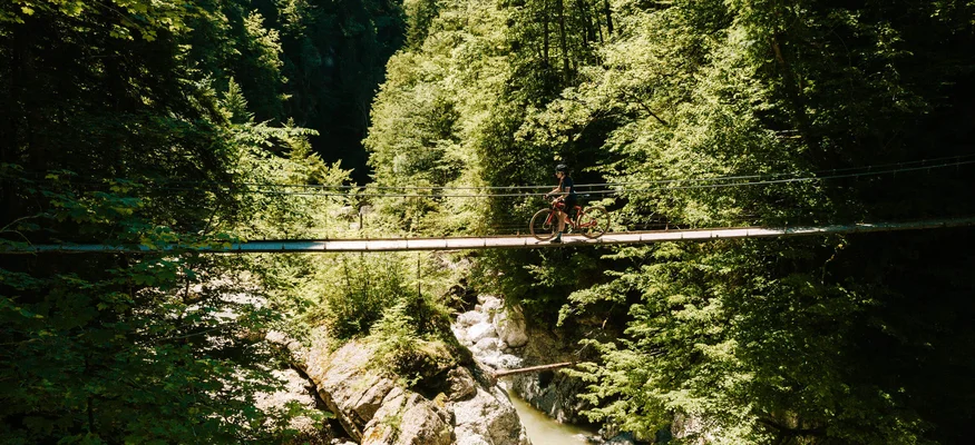Fahrradfahrer auf schmaler Hängebrücke über Fluss in grünem Wald