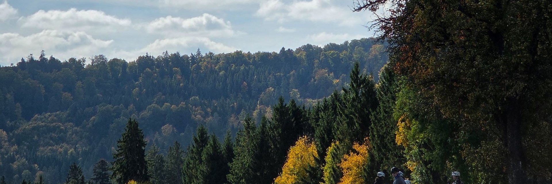 Radfahrer machen Pause auf Waldweg im herbstlichen Landschaftspark