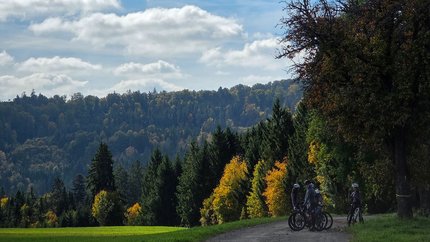 Radfahrer machen Pause auf Waldweg im herbstlichen Landschaftspark
