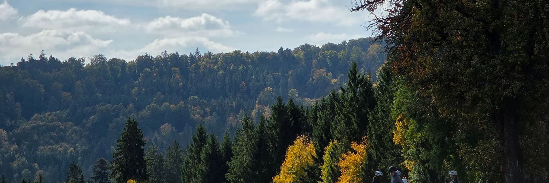 Cyclists resting on a forest path in an autumn landscape park