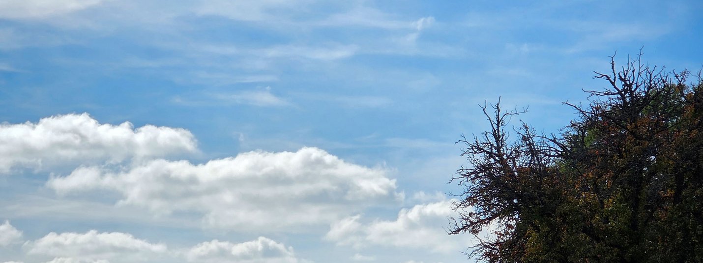 Radfahrer machen Pause auf Waldweg im herbstlichen Landschaftspark