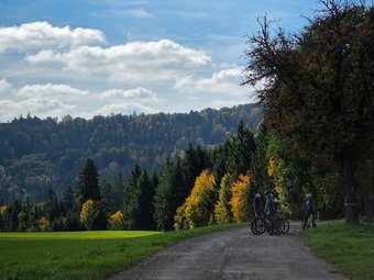 Radfahrer machen Pause auf Waldweg im herbstlichen Landschaftspark