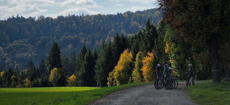 Radfahrer machen Pause auf Waldweg im herbstlichen Landschaftspark