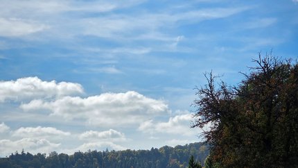 Kandel mit dem Gravel © David Lemanski Radfahrer machen Pause auf Waldweg im herbstlichen Landschaftspark