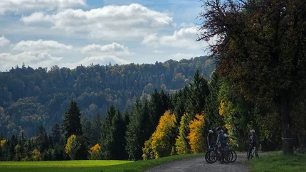 Radfahrer machen Pause auf Waldweg im herbstlichen Landschaftspark