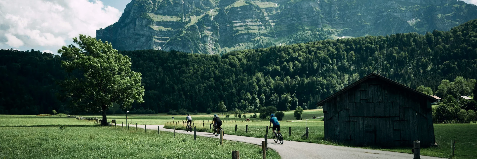 Fahrradfahrer auf Landstraße mit Berg und grünem Feld im Hintergrund