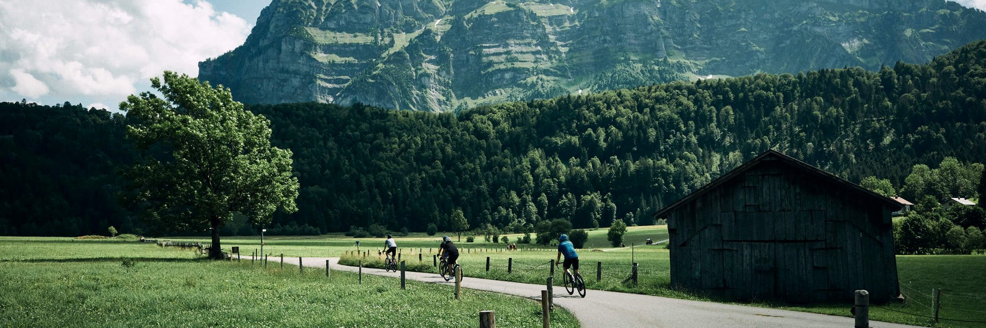 Cyclists on country road with mountain and green field backdrop