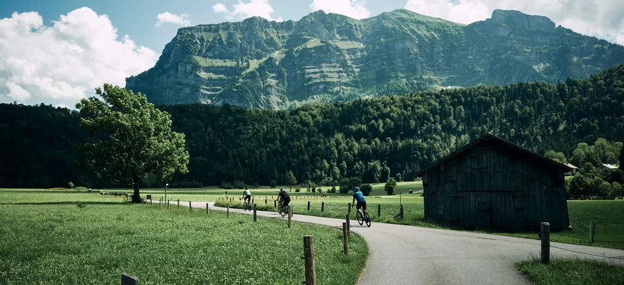 Fahrradfahrer auf Landstraße mit Berg und grünem Feld im Hintergrund