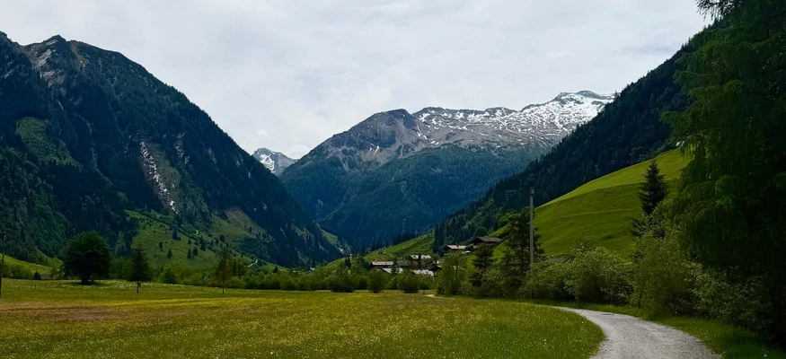Wanderweg durch grüne Wiesen mit Bergen und bewölktem Himmel im Hintergrund