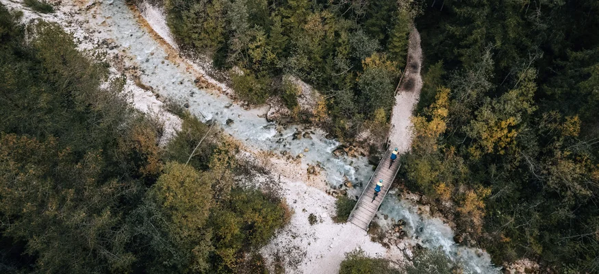 Luftaufnahme von Wanderern auf einer Brücke über einen Fluss im Wald