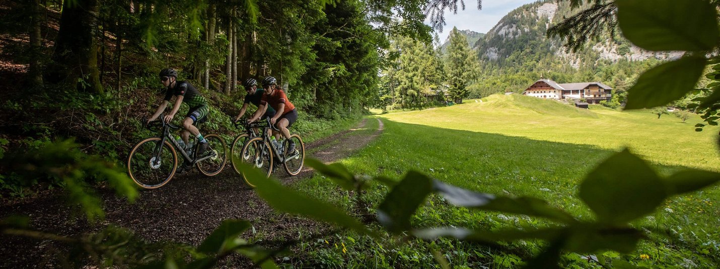 Hintersee Rundweg