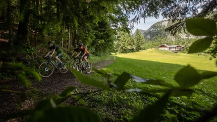 Three cyclists riding on a forest trail with mountains in the background