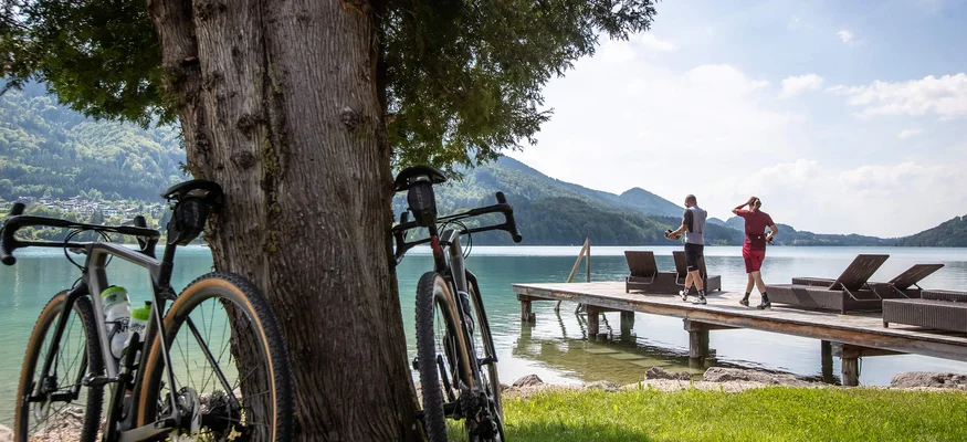 Two bikes by a tree near lake with people walking on a dock