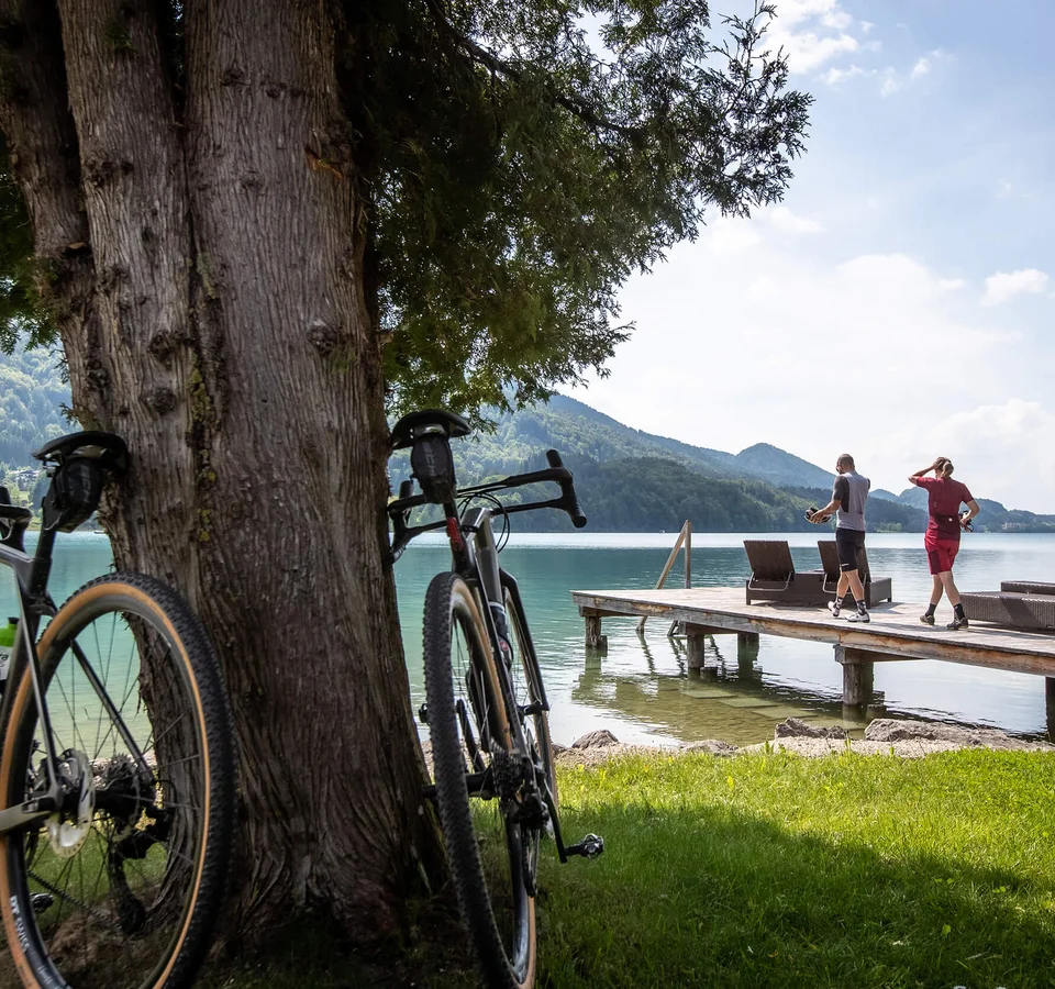 Zwei Fahrräder lehnen an einem Baum am See mit Personen auf Steg